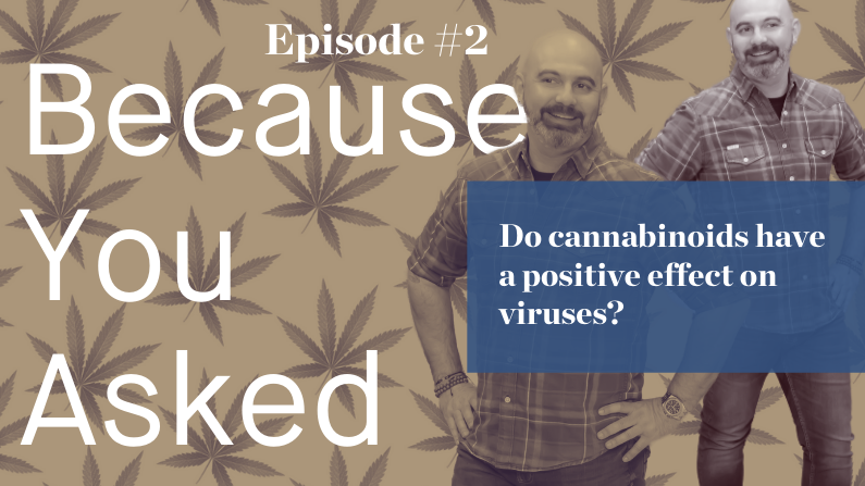Does cannabis have a positive effect on influenza or COVID-19?