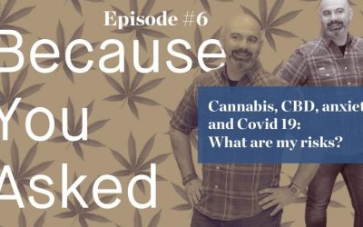 Cannabis, CBD, Anxiety, and Covid 19