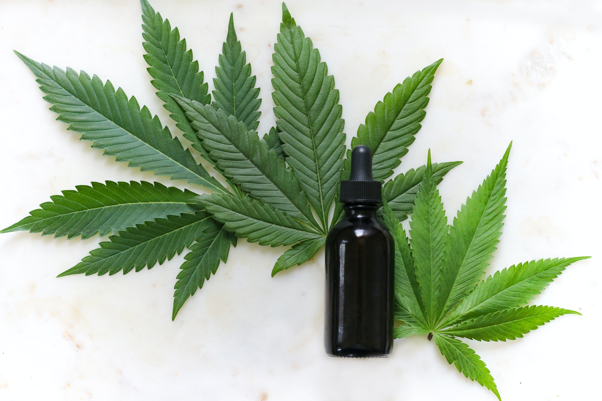 cannabis strains vs formulations